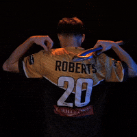 HockeyClubMelbourne roberts hockey one hockey club melbourne hc melbourne GIF