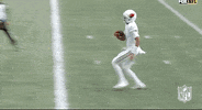 National Football League GIF by NFL