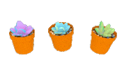 3D Succulents Sticker by jjjjjohn