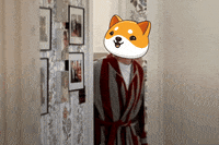 Money Crypto GIF by Baby Doge Coin