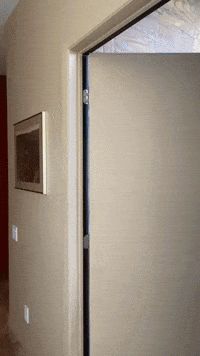 Stop Reaction GIF by Robert E Blackmon