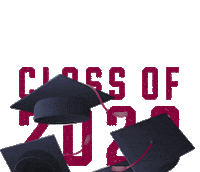 Cap Class Of 2020 Sticker by ThisIsSIU
