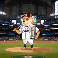 Winning World Series GIF by Doge Pound