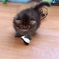 World Sorcery GIF