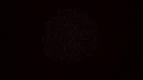Animation Flower GIF by The Higher Content
