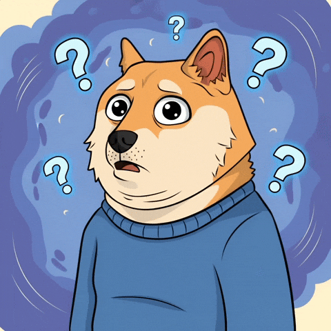 Shiba Inu What GIF by Doge Pound