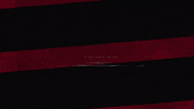 Western Sydney Wanderers Celebration GIF by wswanderersfc