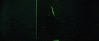 Walking In Music Video GIF by Taylor Swift
