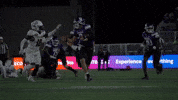 College Football GIF by Northwestern Athletics