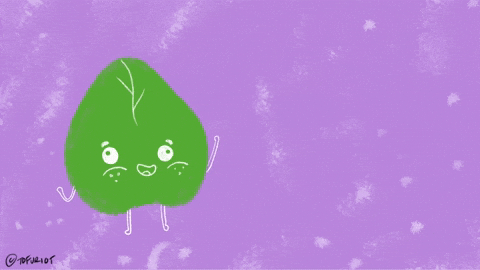 Aapi Cooking GIF by Tofu Riot