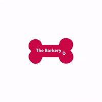 thebarkery  GIF