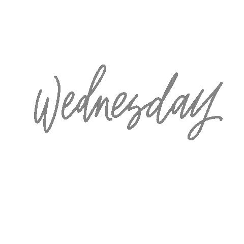Wednesday Sticker by villabeautifful