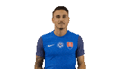 Football Celebration Sticker by Slovensky futbalovy zvaz