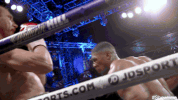 joseph parker punch GIF by SHOWTIME Sports