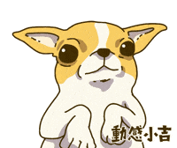 Animation Dog GIF