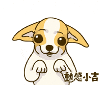Animation Dog GIF