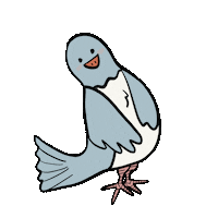 Peace Paz Sticker