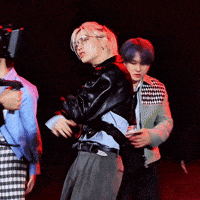 Stray Kids Skz GIF