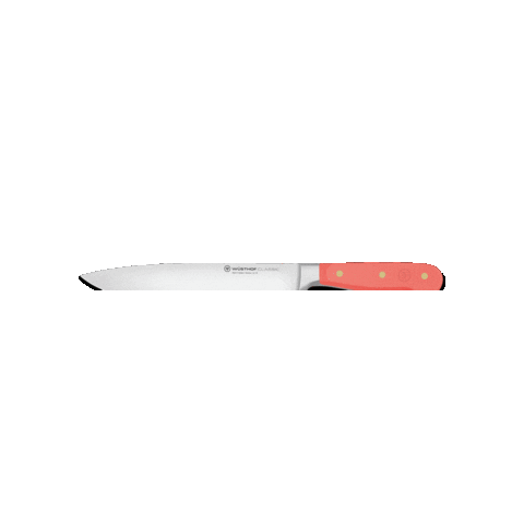 wusthof giphygifmaker Sticker