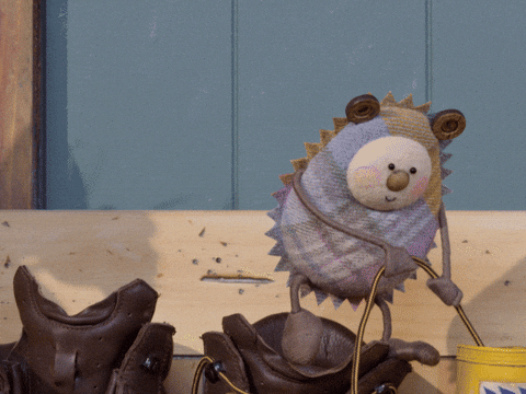 tweedyandfluff giphyupload cute pets boots GIF