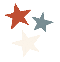 American Party Sticker