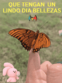 Buenos Dias Mano GIF by Murcianys LLC