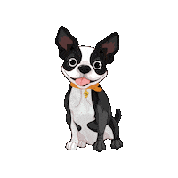 Jw Founders Day Sticker by National Beta Club