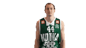 Basketball Hoops Sticker by Basket_fi