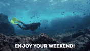 Weekend Ocean GIF by Scubapro
