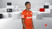 Posing Bayer 04 GIF by Bundesliga