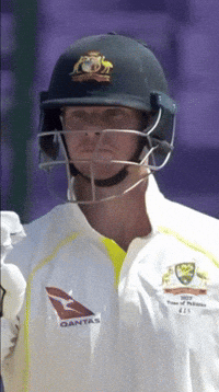 Steve Smith Cricket GIF