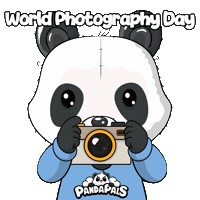 Photography Photo Sticker by PandaPals