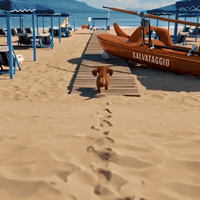 Mare Curiosity GIF