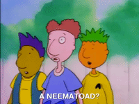 nicksplat doug GIF