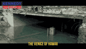 Travel Beach GIF by Team Kennedy