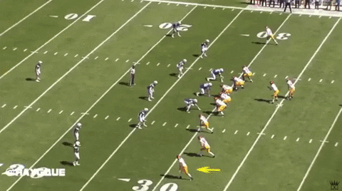 chrisblystonenfl giphygifmaker GIF