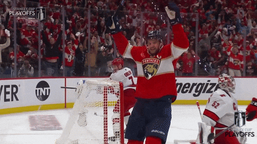 Stanley Cup Playoffs Goal GIF by NHL