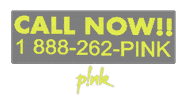 Summer Carnival Pink Music Sticker by P!NK