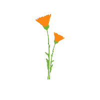For You Flower Sticker by True Botanicals