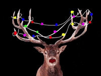 Merry Christmas GIF by Barbara Pozzi