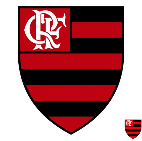 Flamengo GIF