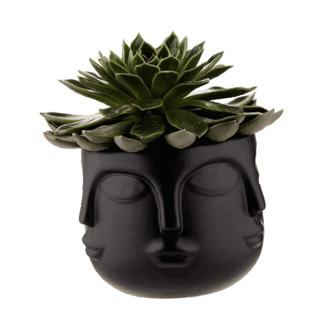 Vase Accessoire Sticker by home24