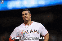 excited major league baseball GIF by FOX Sports: Watch. Enjoy. Repeat.