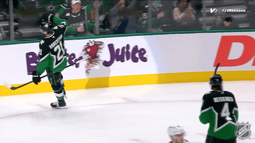 Happy National Hockey League GIF by NHL