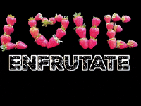 enfrutatehuexotitla love amor puebla fresas GIF