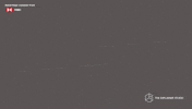 GIF by The Explainer Studio