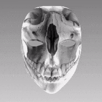 Fashion Augment GIF by Aleksey Efremov