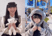 Teddy Bear Hello GIF