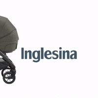 inglesinababy inglesina GIF