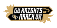 March Madness Ucf Basketball Sticker by UCF Knights